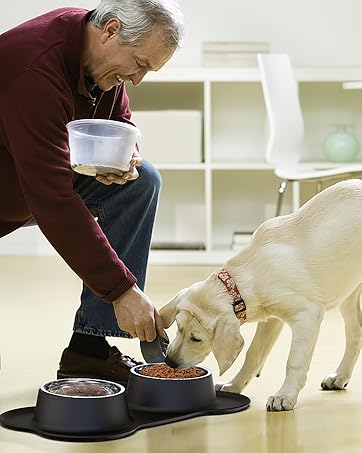 Basic Dog Bowls
