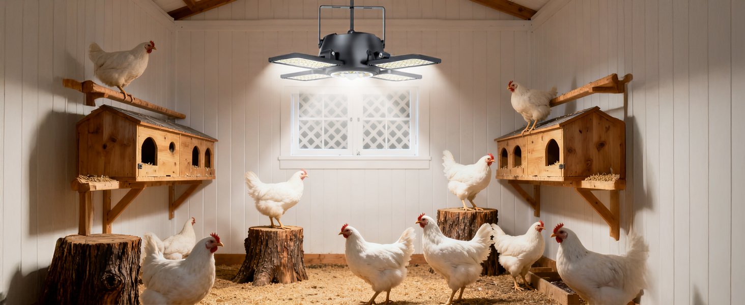 solar chicken coop light