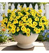 Ouddy Decor 15 Bundles Artificial Flowers for Outdoors, 15" Fake Pansies Silk Flowers UV Resistan...