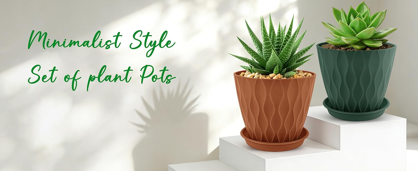 plant pot