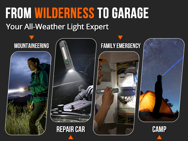 FROM WILDERNESS TO GARAGE