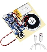 Sound Recorder Module DIY Music Voice Recording Module Chip with Speaker,Type-C Cable,Easy Record...