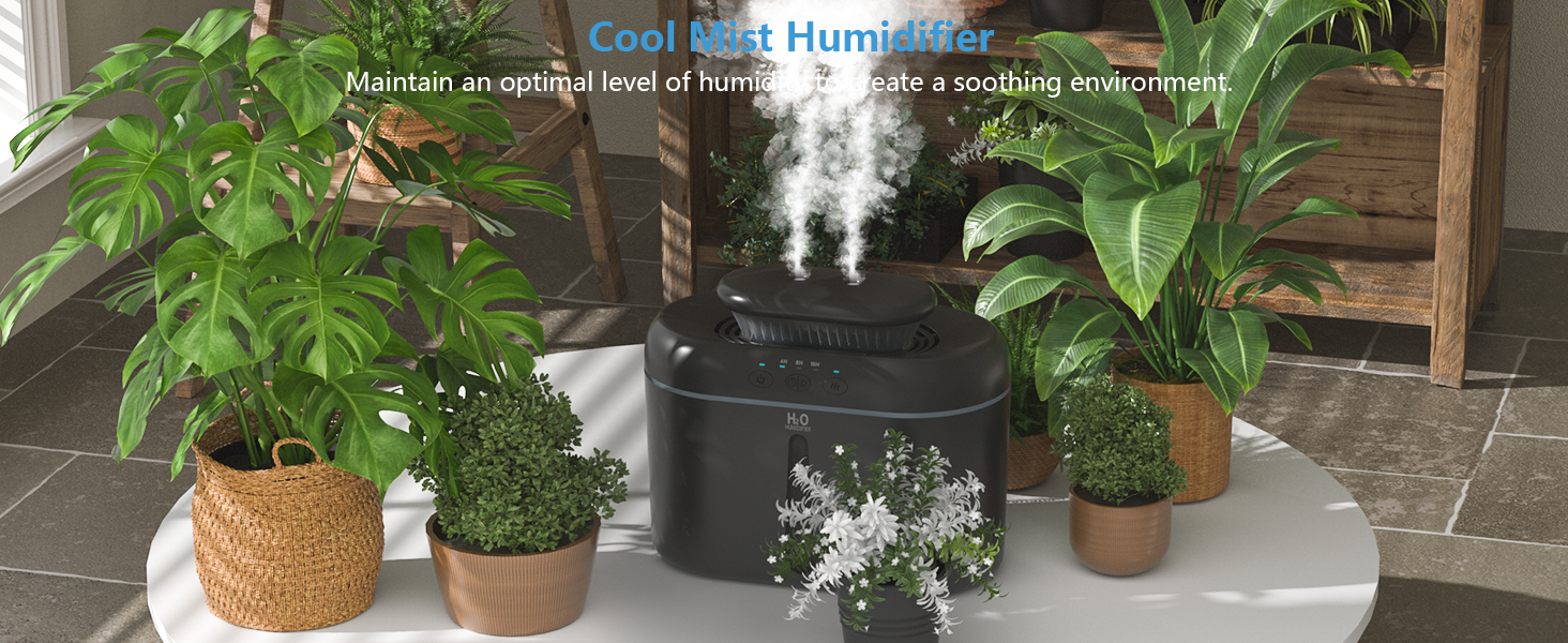 Humidifier for Plants