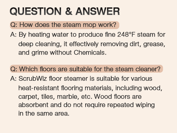 ScrubWiz Steam Cleaner Cleaning Floor Hardwood Stove grill Tile Sofa Carpet Clothing Gap Window bbq