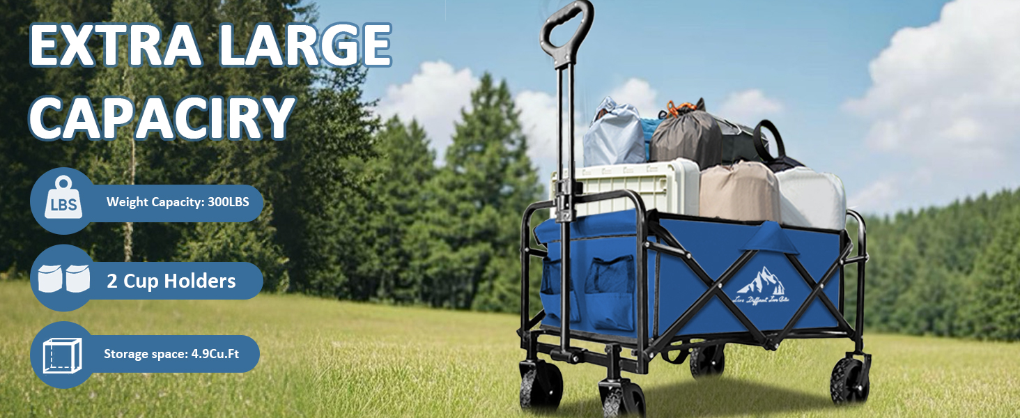 wagon 