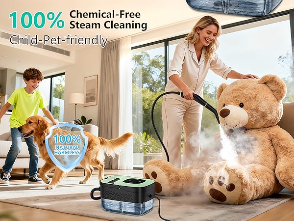 steam cleaner