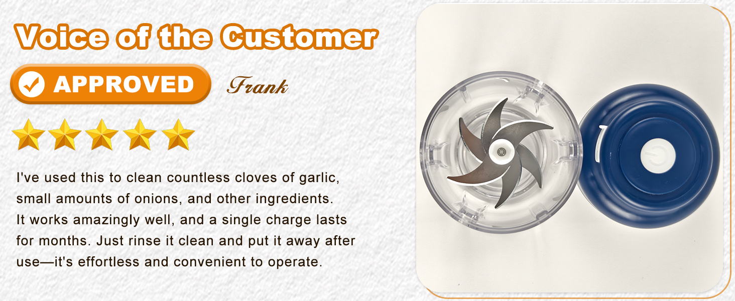 electric garlic blender