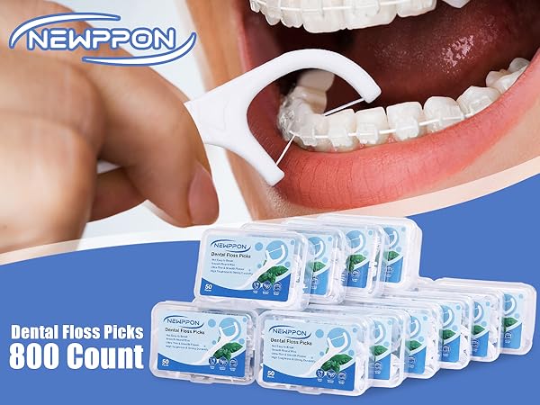 Newppon 800 Pack Dental Floss Picks