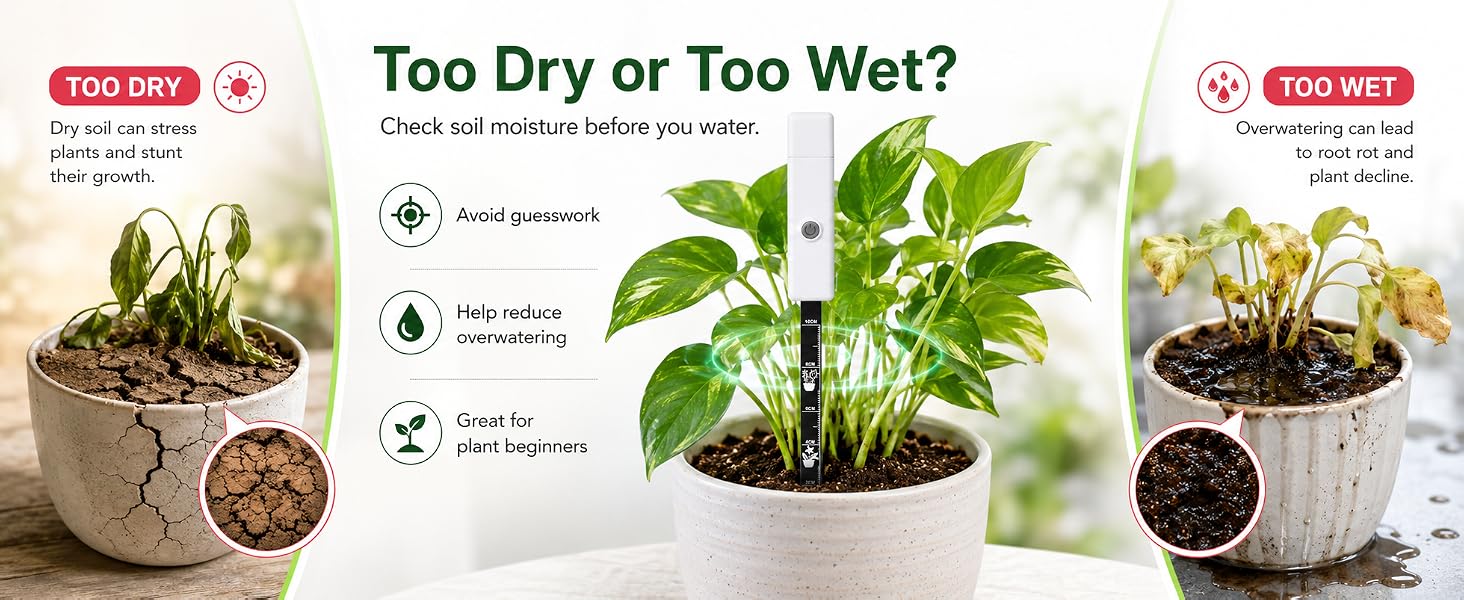 Too Dry or Too Wet?
