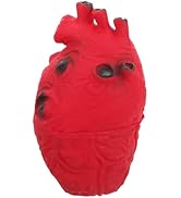 MAGICLULU 1pc Horrible Heart Props Halloween Scary Heart Organ Simulated Bloody Heart Organ for H...