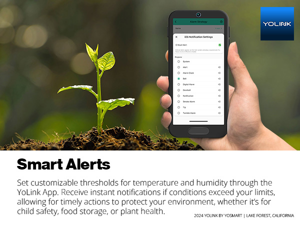 Smart Alerts