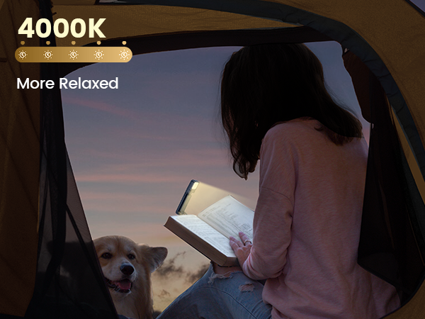 book light for kids, kids book light