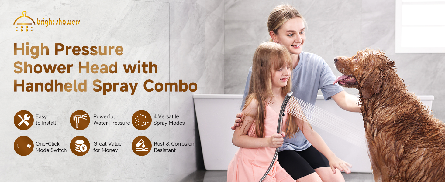 shower head with handheld