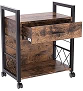 IRONCK Filing Cabinet, Industrial Printer Stand with Storage Home Office Cabinet 1 Drawer, Mobile...