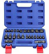 WORKPRO 25-Piece Torx Bit Socket Set, 1/4", 3/8", 1/2" Drive, E4-E22, T8-T60 Female &amp; Torx Socket...
