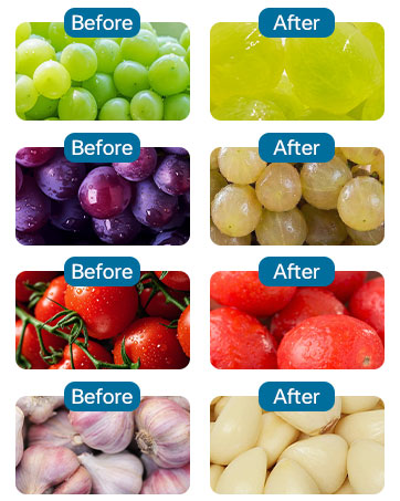 Electric Garlic Peeler