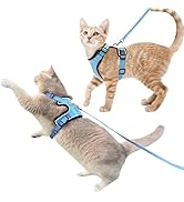 Luxelle 2 Pack Escape-Proof Cat Harness and Leash Set for Walking – Adjustable No Pull Soft Vest ...
