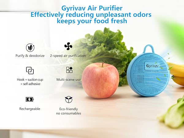 refrigerator deodorizer