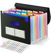 SKYDUE Accordion File Organizer, Expanding File Folder with 13 Pockets, Portable Document Paper B...