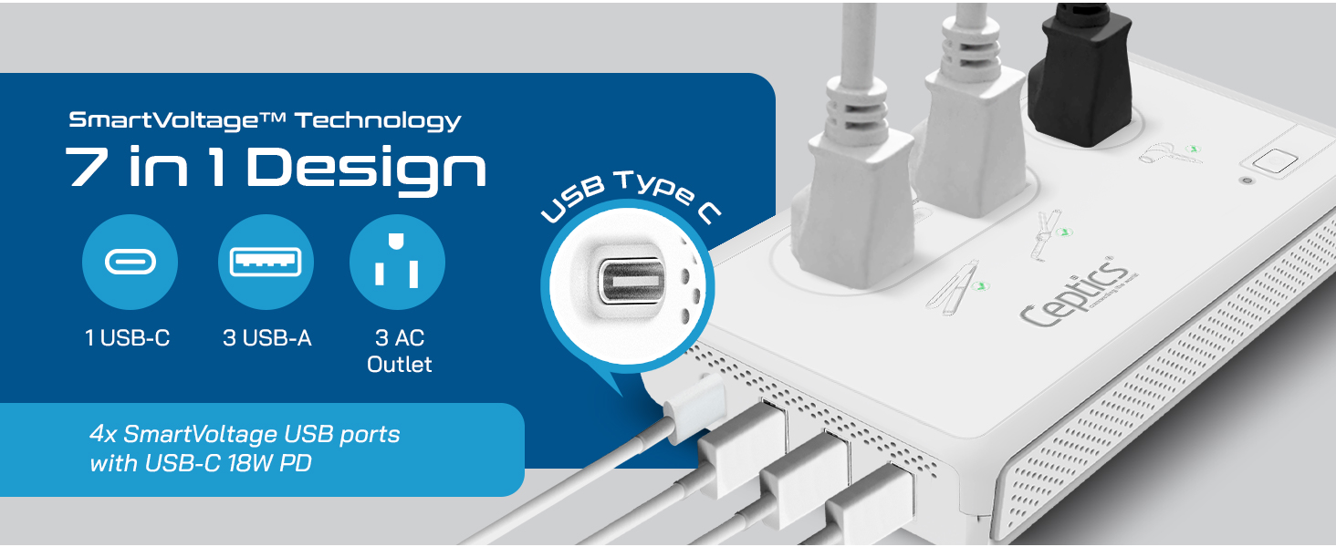 ceptics travel converter