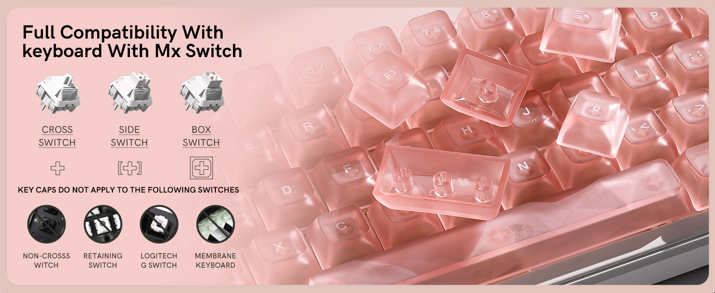 Full Compatibility With keyboard With Mx Switch