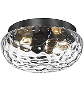 FEMILA Black Flush Mount Ceiling Light, 12" Ceiling Light Fixtures for Kitchen Island, Bedroom, L...