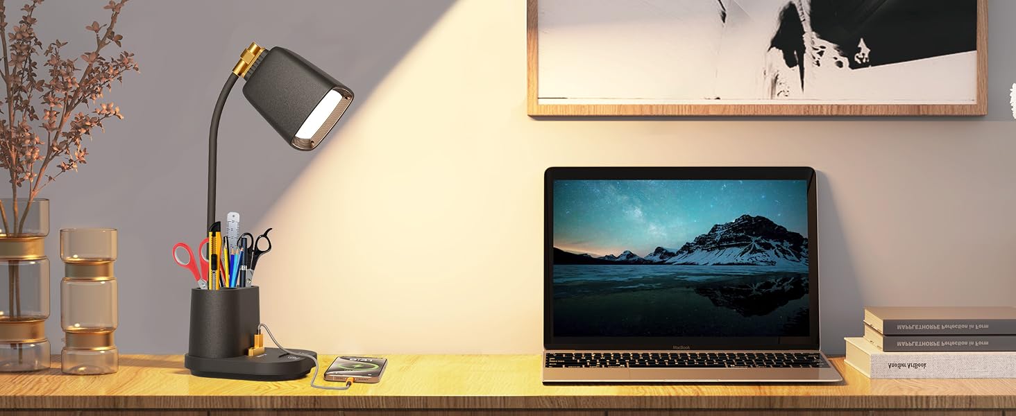 LED Desk Lamp