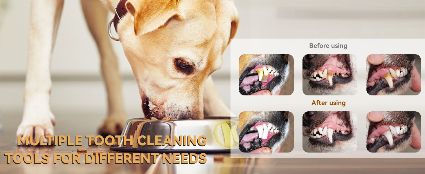 dog tartar remover for teeth