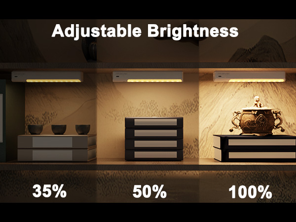 Adjustable Brightness