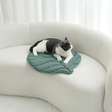 pet mat