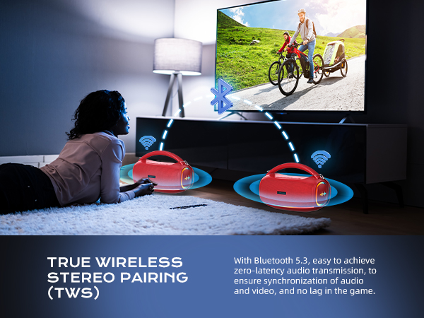 Karaoke Machine for Adults 