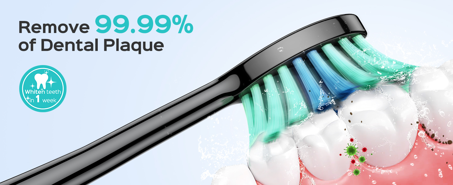 Electric Sonic Ultrasonic Toothbrush Adults Kids Cepillo de dientes ultrasónico eléctrico sónico