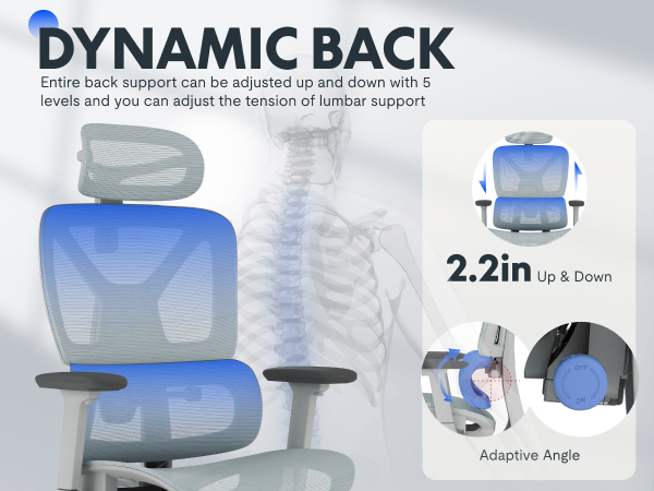flexispot C7 lite task chair