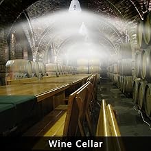 wine cellar light