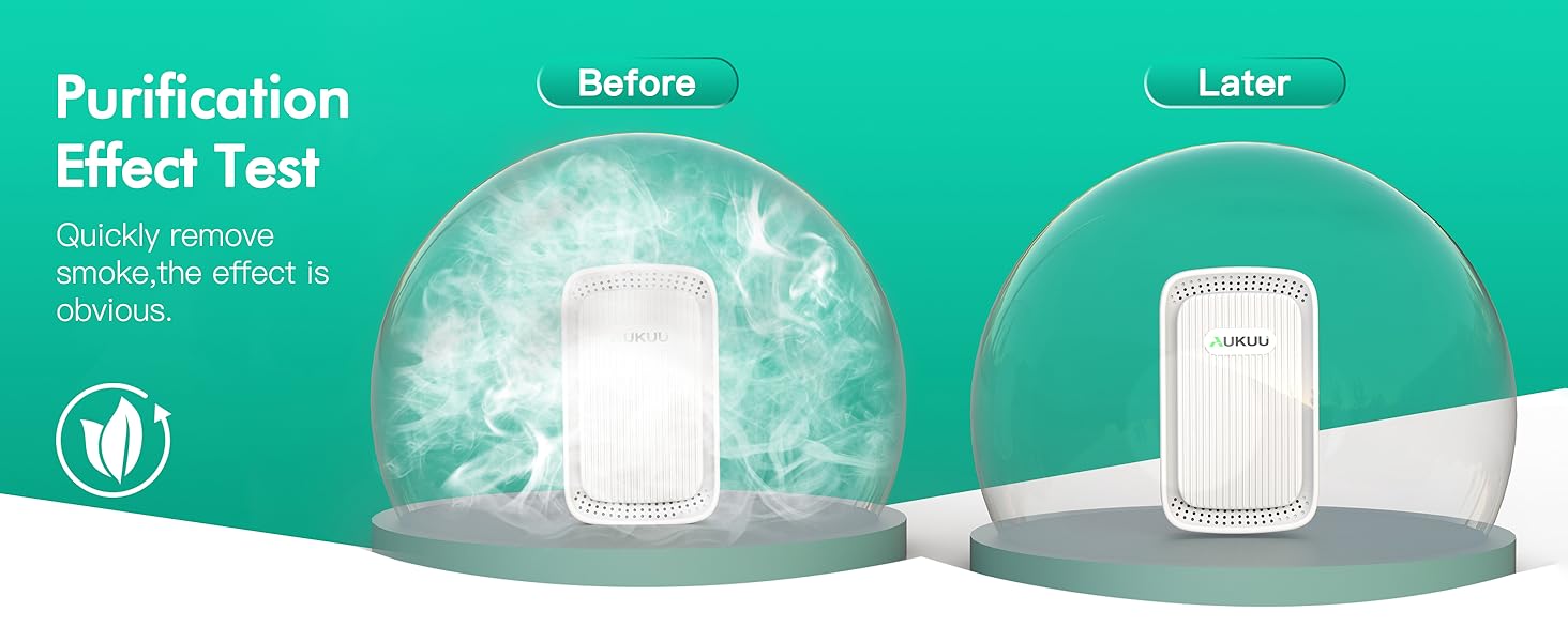 PURIFICATION EFFECT TEST