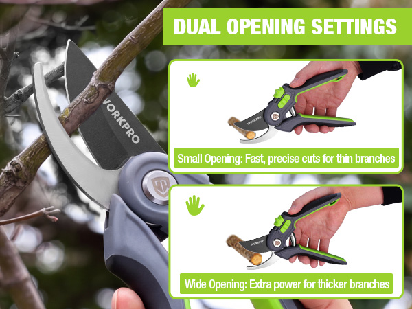 dual opening settings