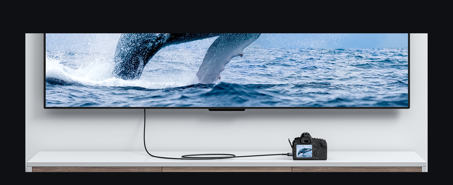 hdmi to mini hdmi cable