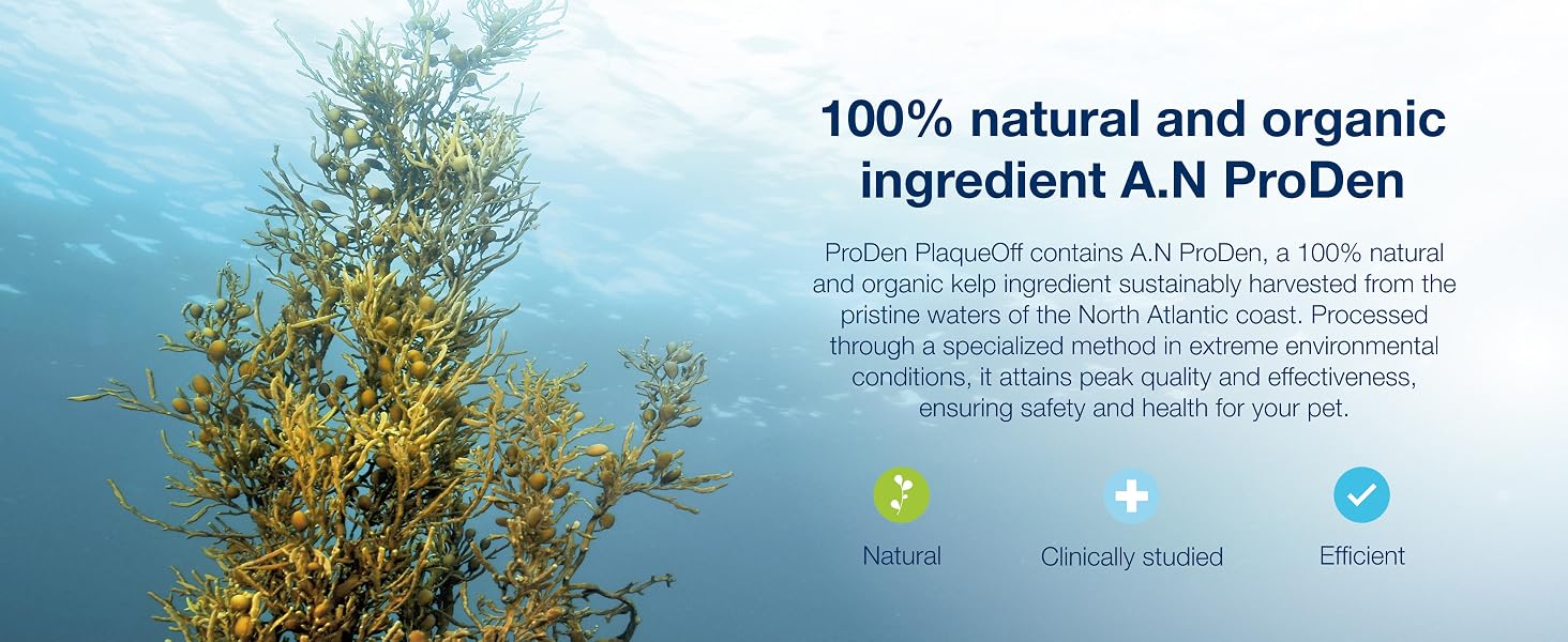 100% natural and organic