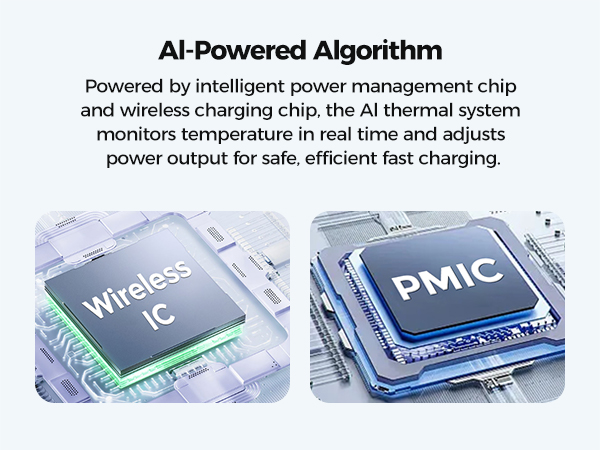 Advanced Dual-Chip