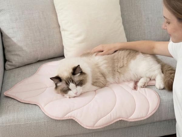 Soft Mats for Pet
