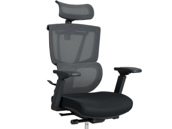 flexispot C7 task chair
