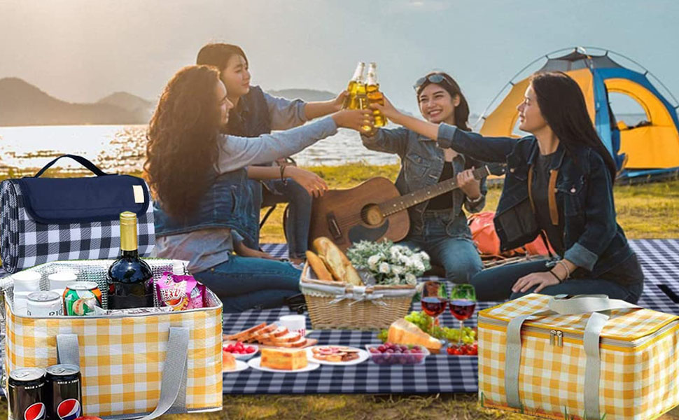 Picnic Bag Reusable