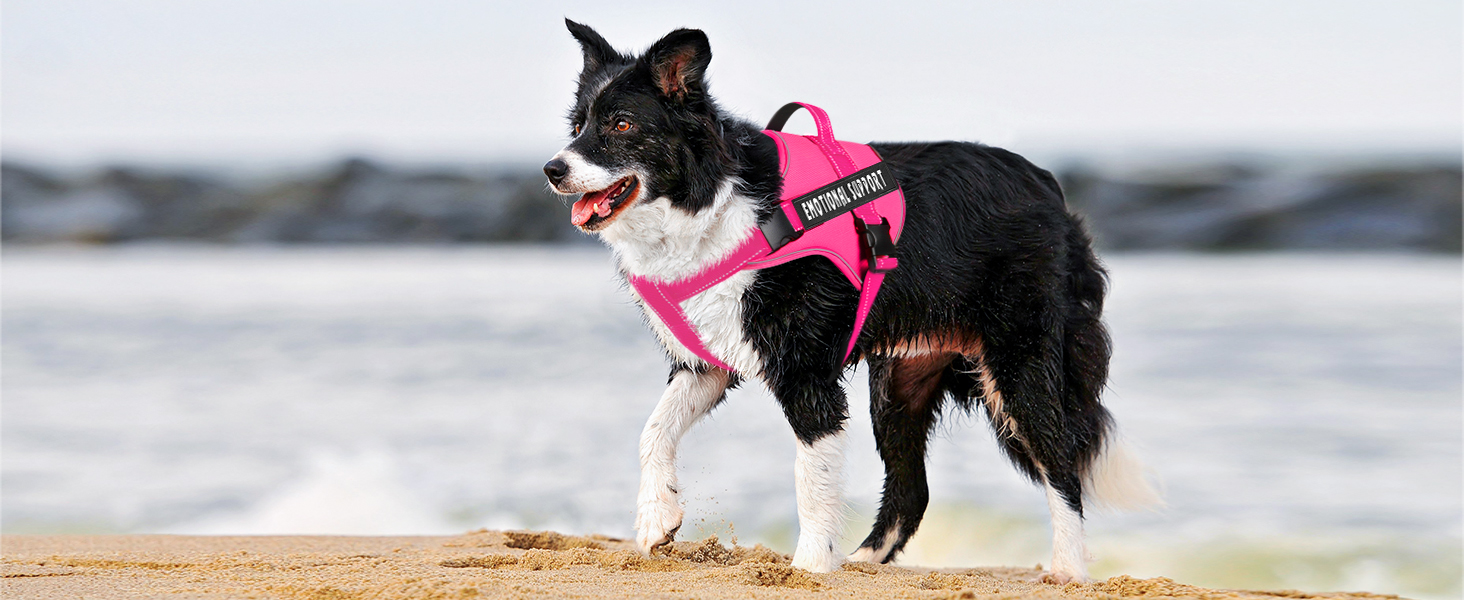 hot pink service dog harness