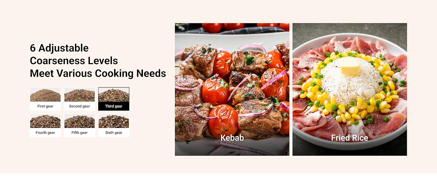 Kebab and Fried Rice