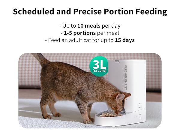 schedule feeding and portion control