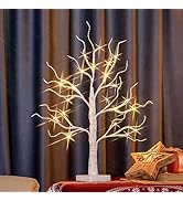 PEIDUO 22" Birch Tree with LED Lights, Warm White Artificial Tree Lamp, Fairy Light Spirit Tree f...