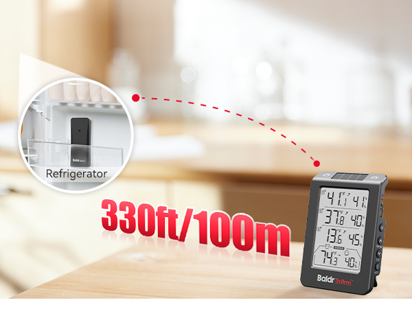 fridge thermometer
