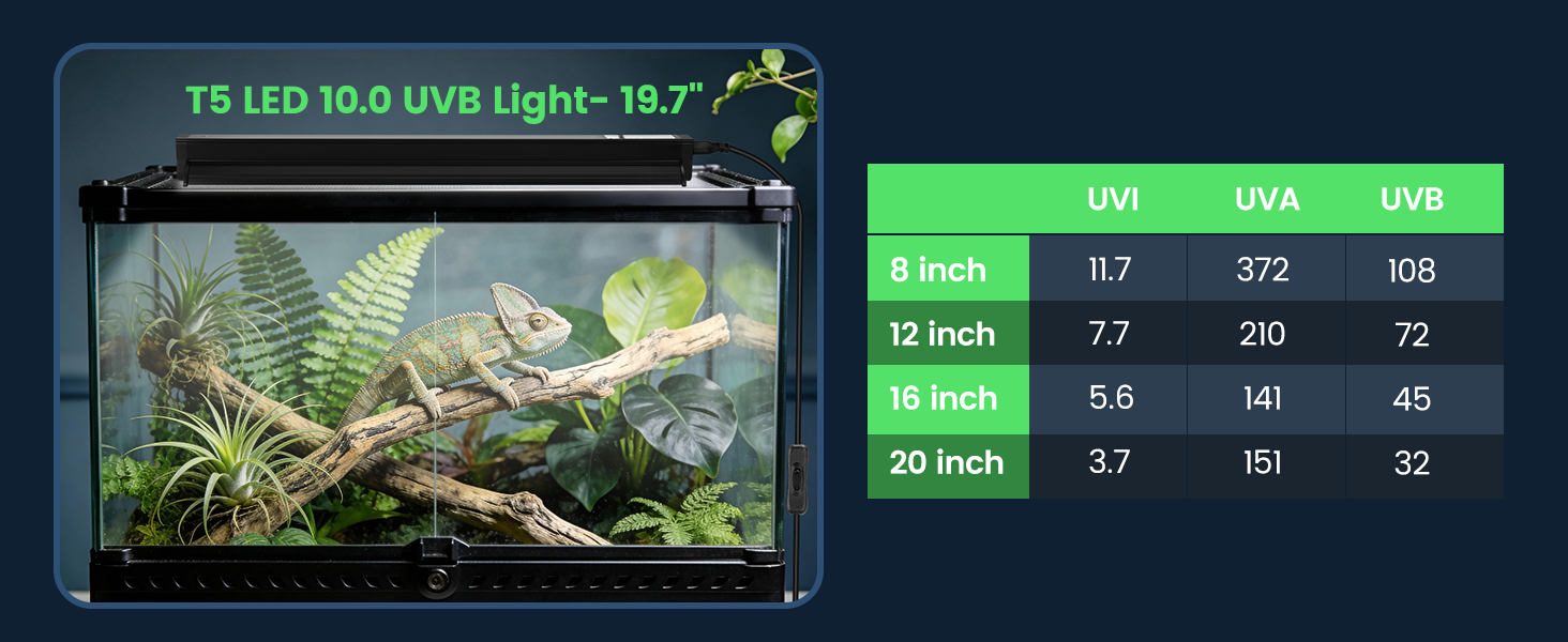 UVB LED Reptile Light