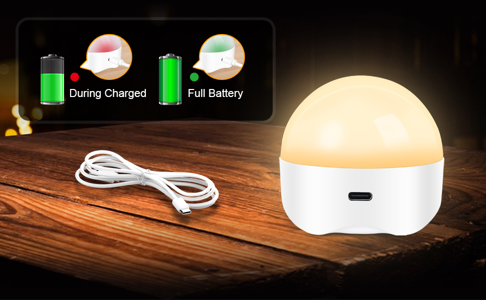 light bulb
