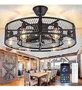 DLLT Caged Ceiling Fan with Lights: 26" Bladeless Fandelier Ceiling Fans with Light and Remote - ...
